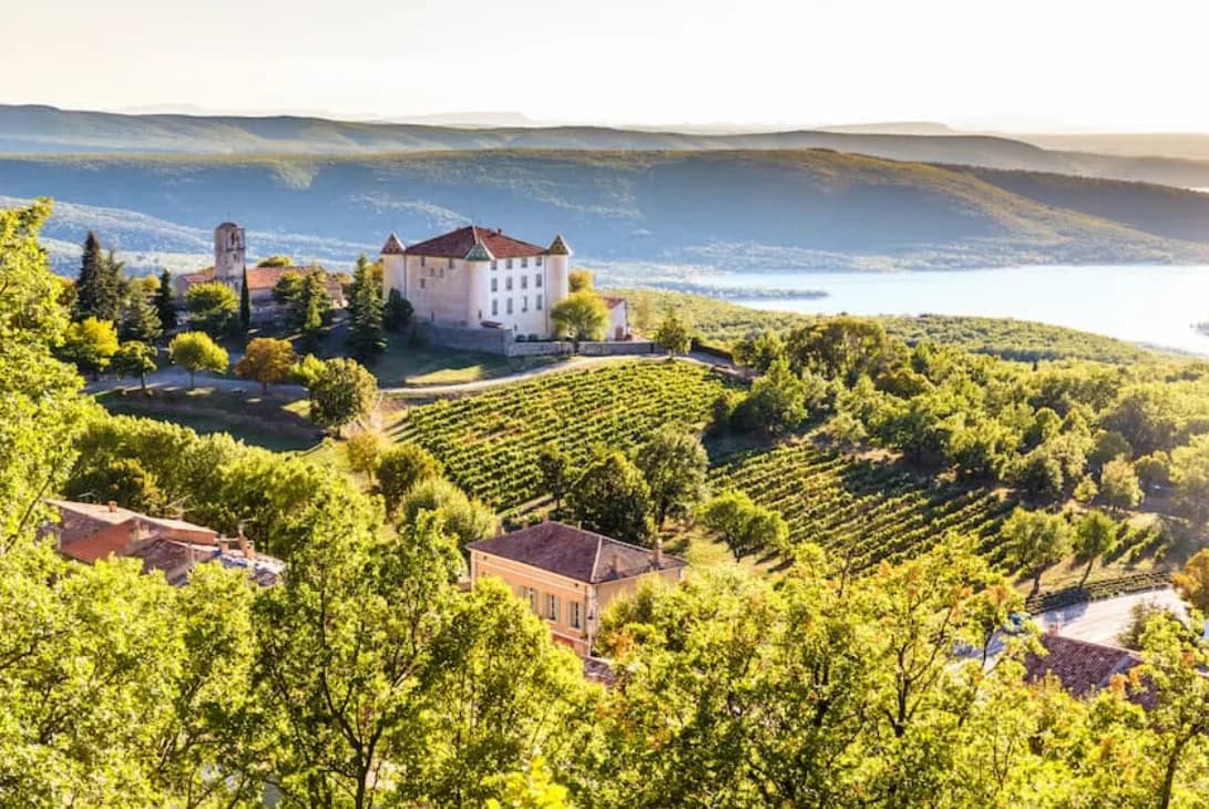 Provençal Vineyard
